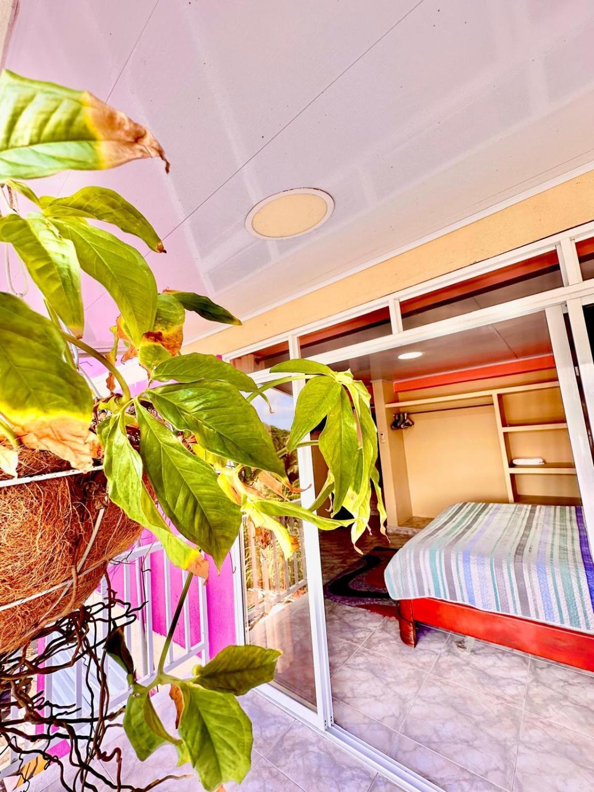 Posada Seven Colours Ocean Providencia  Екстер'єр фото